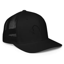Load image into Gallery viewer, VF Blackout Flexfit