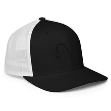 Load image into Gallery viewer, VF Blackout Flexfit